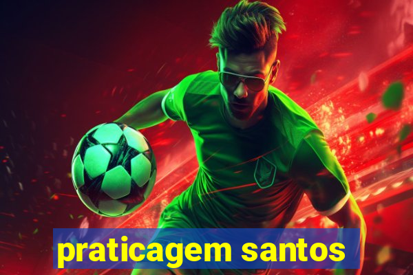 praticagem santos